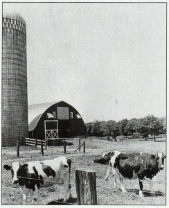 Wagner Farm with Cows